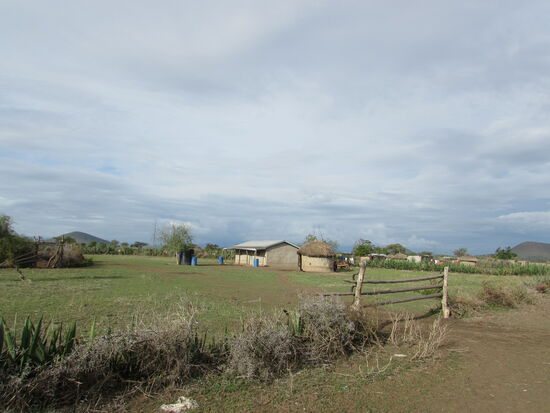Wir fahren zurück und sehen noch einmal die vielen kleinen Dörfer in denen unsere Massai Zuhause sind.