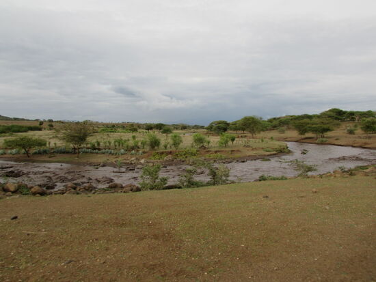 Der ansonsten meist ausgetrocknete Flusslauf ist zum reißenden Strom geworden. Normalerweise durchfahren wir das Flussbett, doch daran ist heute nicht zu denken.