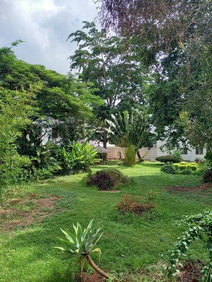 Ringsherum alles toll angelegt und gepflegt.