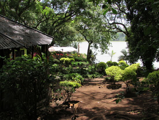 Diese Gastronomie liegt direkt am See.