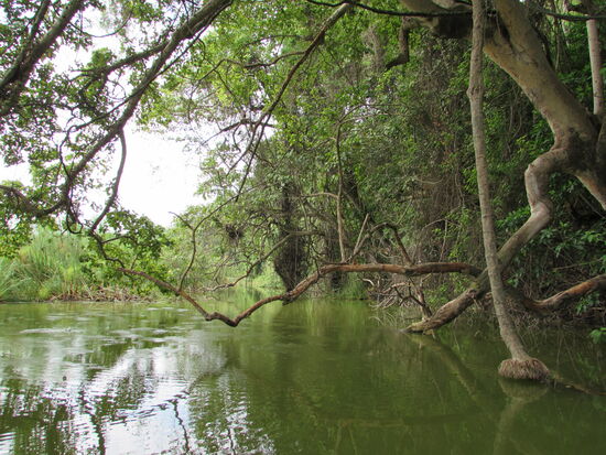 Ich genieße es sehr!