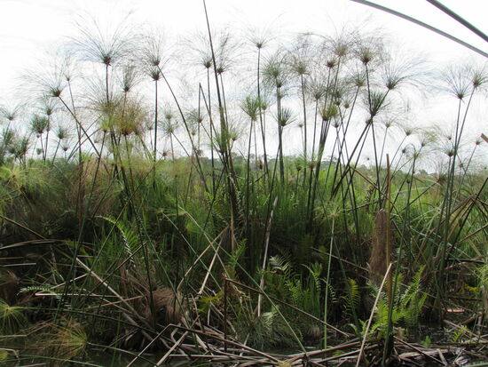 Wunderschön anzusehen.