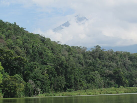 Der gesamte See ist von einem ewigen Grün umgeben. Zwischen den Wolken zeigt sich ein wenig der Mount Meru. Auch den Kilimandscharo konnte man schwach erkennen, aber für ein Foto war die Sicht nicht gut genug.