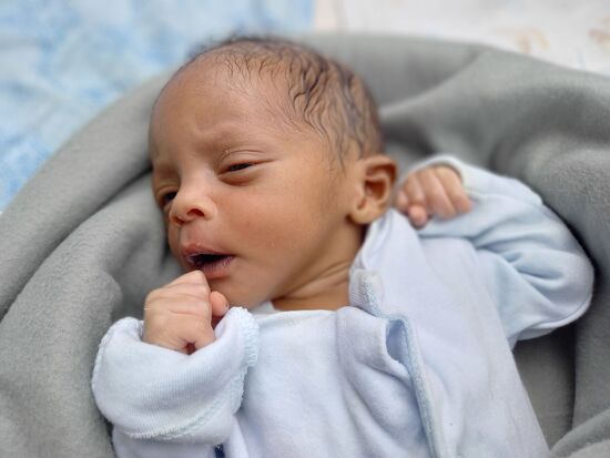 Aufmerksamkeit und Geduld benötigen auch die erst wenige Tage alten Zwillinge Kome und Komte.