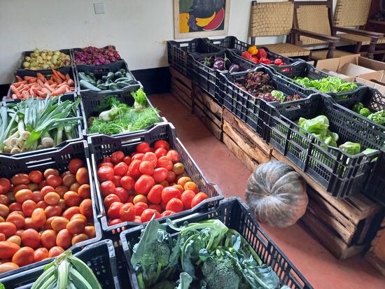 Danach wird beim holländischen Farmer eingekauft.