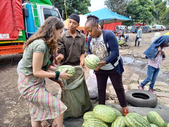 Eine Melone nach der anderen wandert in den großen Sack.