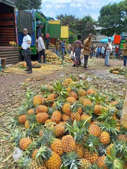 Von den Melonen geht es direkt zu den jungen Männern die Ananas verkaufen.