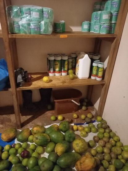 Mangos, Limetten und Hygiene Artikel
