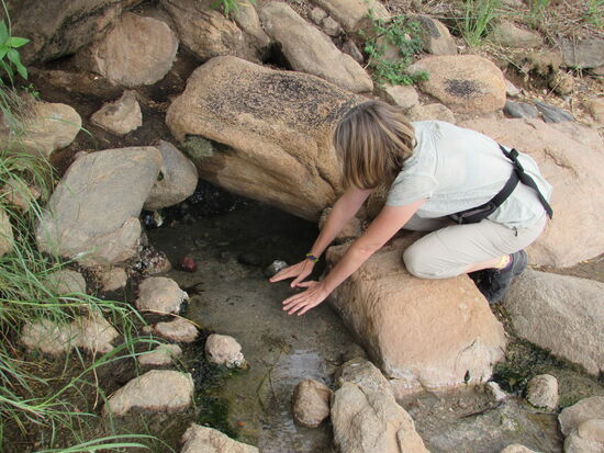 Ich gehe es vorsichtiger an.