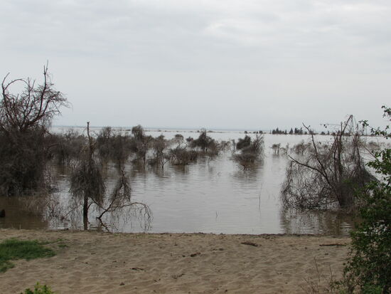 Es ist gerade extrem viel Wasser im See, daher sind entlang des Ufers viele Bäume abgestorben.