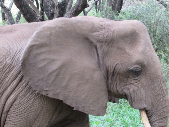 Sie gehen direkt an unserem Fahrzeug vorbei  