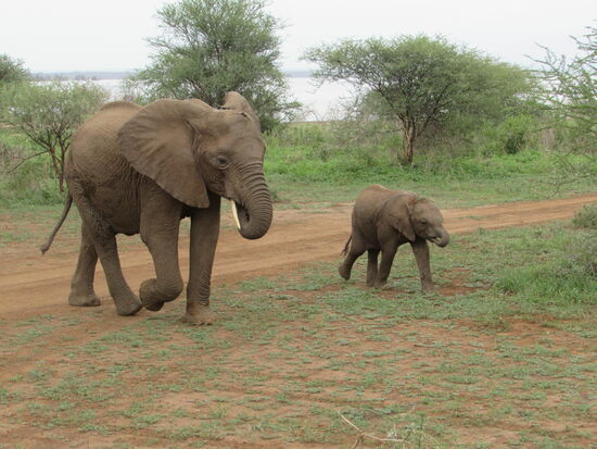 Wir können uns nicht satt sehen!