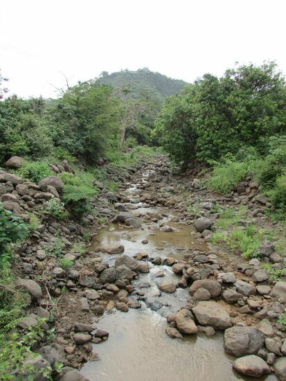 Doch schließlich ziehen wir weiter, denn Peter unser Koch wartet mit dem Essen auf uns und darauf freue ich mich ebenfalls sehr!