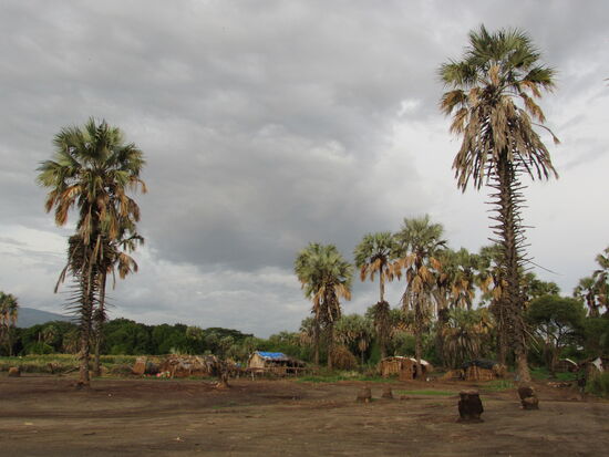 Schließlich kommen wir am Ufer des Eyasi Sees in einem kleinen Fischer Dorf an.