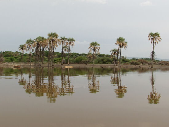 Super schön anzusehen.