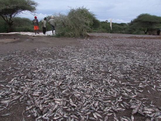 Ehe wir diesen wundervollen Ort verlassen, bestaunen wir noch den Fischfang.