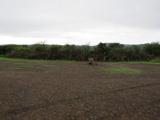 Der Krall der Datoga ist kaum zu erkennen.