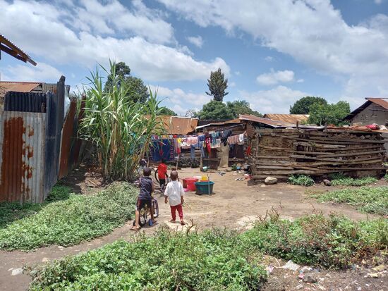 Allein wären wir hier niemals her gegangen.