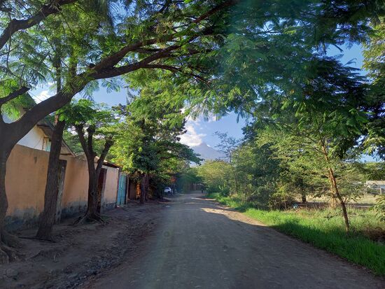 Alles ist üppig grün