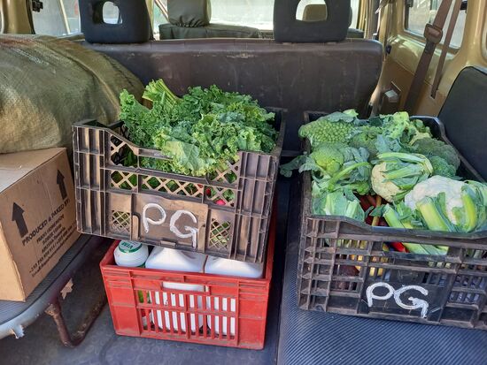 Währenddessen füllt sich der Laderaum langsam.