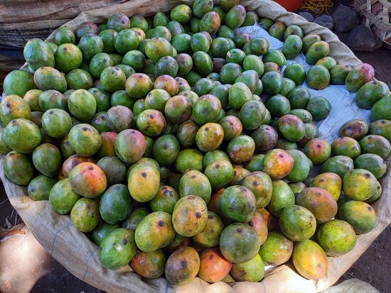 Es ist Mango Zeit. Die schmecken so frisch geerntet mega lecker.