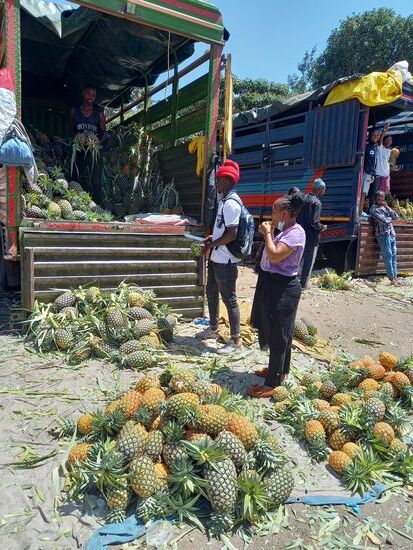 Auch diese Ananas ist ein Hochgenuss!