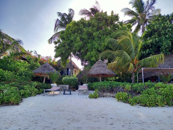 Blick auf unseren Bungalow im Blue Reef Hotel