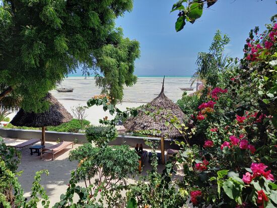 Wow,  mega Aussicht von unserem Bungalow auf den Strand und den türkisfarbenden indischen Ozean.