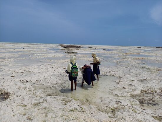 Diesen Schülern macht die Hitze nichts aus, sie suchen in den Pfützen nach Kleintieren.