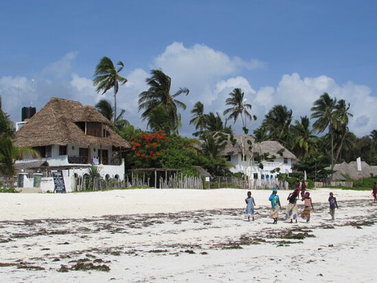 Jambiani hat sich etwas ursprüngliches erhalten.  So gehören Einheimische zum alltäglichen Strandleben und man kann sie im Alltag beobachten.