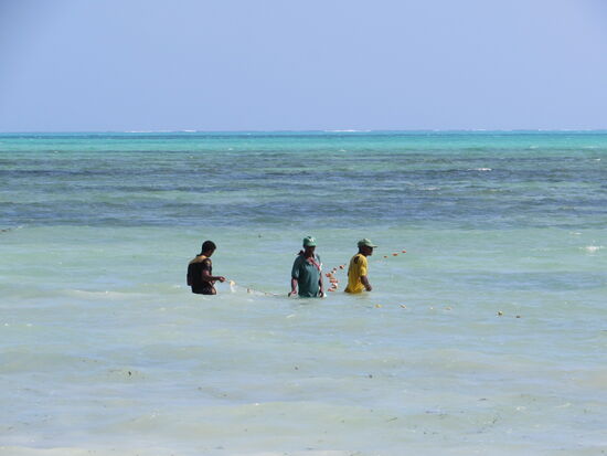 Fischer holen die Netze ein.