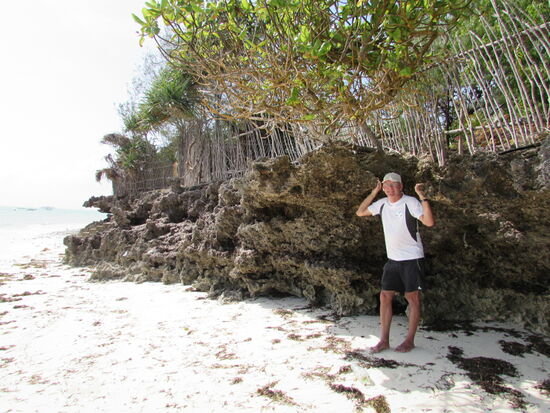 Je südlicher wir kommen, je höher wird die Korallen Formation.