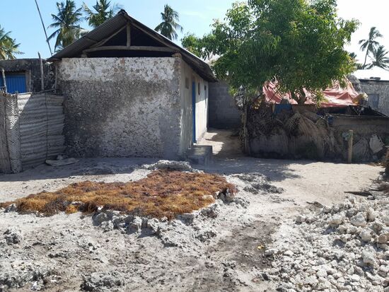Hier werden Algen getrocknet. Der Verkauf von Algen ins Ausland ist neben dem Tourismus eine wichtige Devisenquelle.