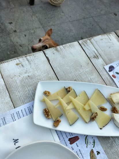 Sally bekommt auch etwas ab  