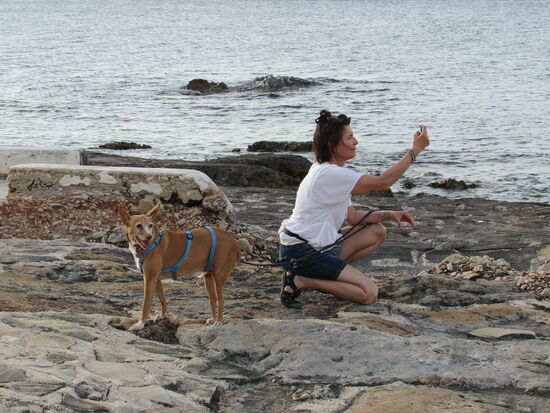 Es bieten sich uns viele Fotomotive  