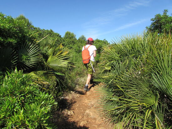 Der Pfad ist teilweise sehr schmal und einige Pflanzen haben lange Dornen. Da bleibt man vor Kratzern nicht verschont.