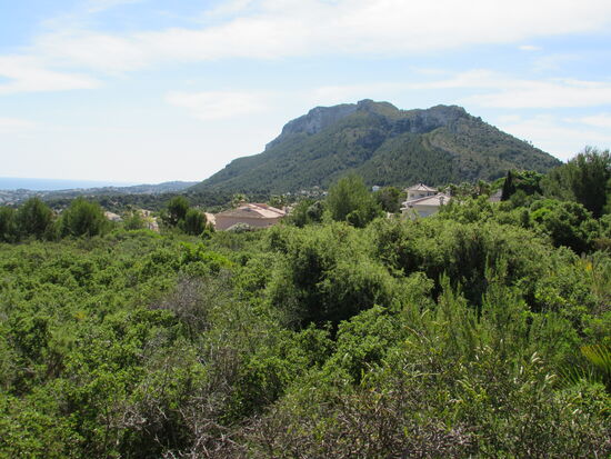 Ein Blick zurück und schon ....