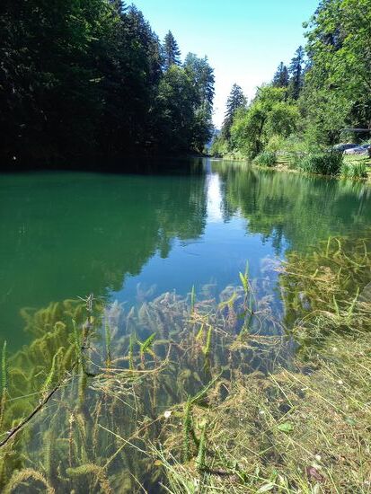 Blick über den kleinen See