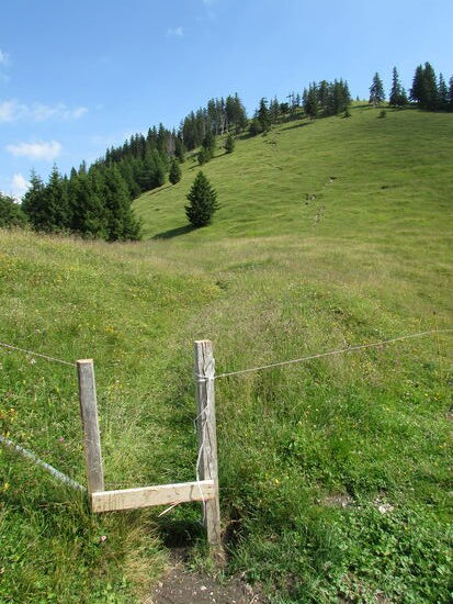Das letzte Stück geht es auf einem steinigen, steilen, schmalen Pfad nach oben.