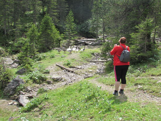 Sylvia wollte mir diesen Platz am Fluss zeigen, hier hat sie als Kind viel gespielt. Heute ist es das Zuhause von einigen Gänsen und Schweinen.