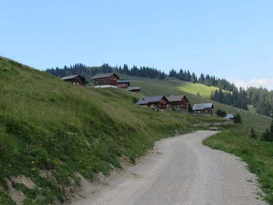 Rückweg zu den Almhütten.