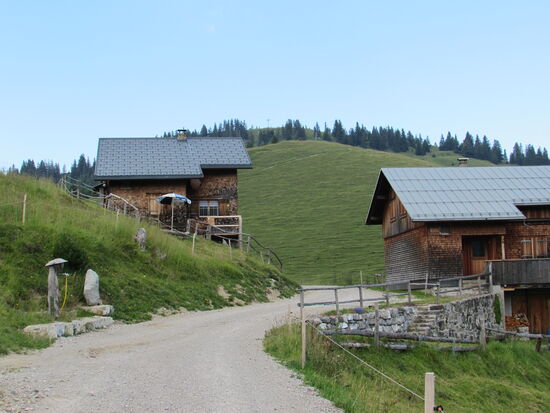 Vor der Almhütte, links im Bild, der Brunnen für das Trinkwasser.
