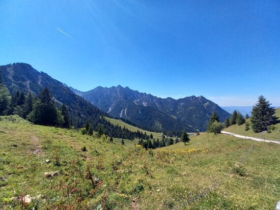 Zunächst der geschotterten Piste entlang.