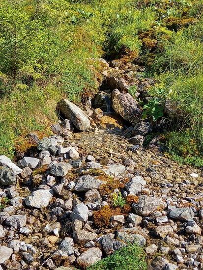 Kleine Quellen am Wegesrand