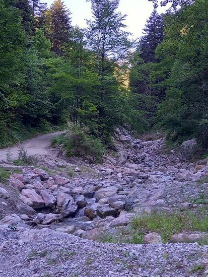 Ein kurzer Blick zurück