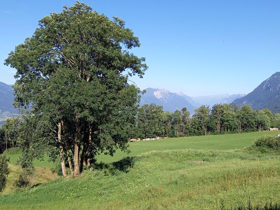 In Gurtis werden wir von Sylvias Vater abgeholt und so endet der Ausflug zur Alm endgültig - schön war`s!!