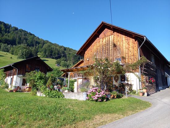 Die wunderschöne Terrasse bei Sylvia Daheim.