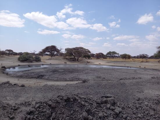 Deutlich zu sehen ist der niedrige Wasserstand.