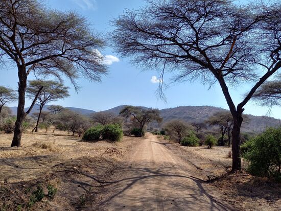 Langsam verlassen wir den Park in Richtung Barabati
