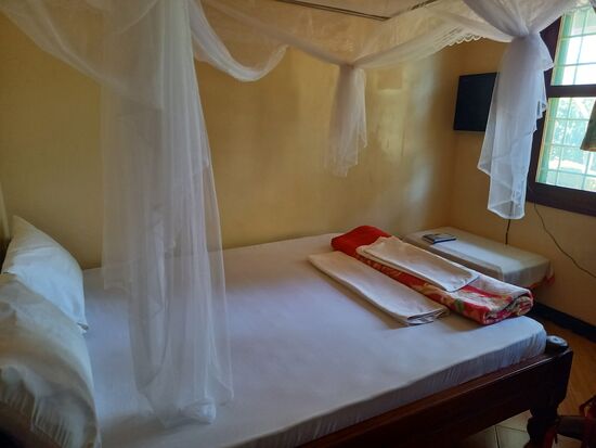 Bei dem Anblick leuchten unsere Augen.